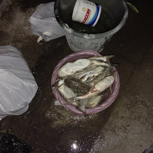 Panggangan Patin