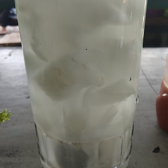Kelapa Tawar Jumbo
