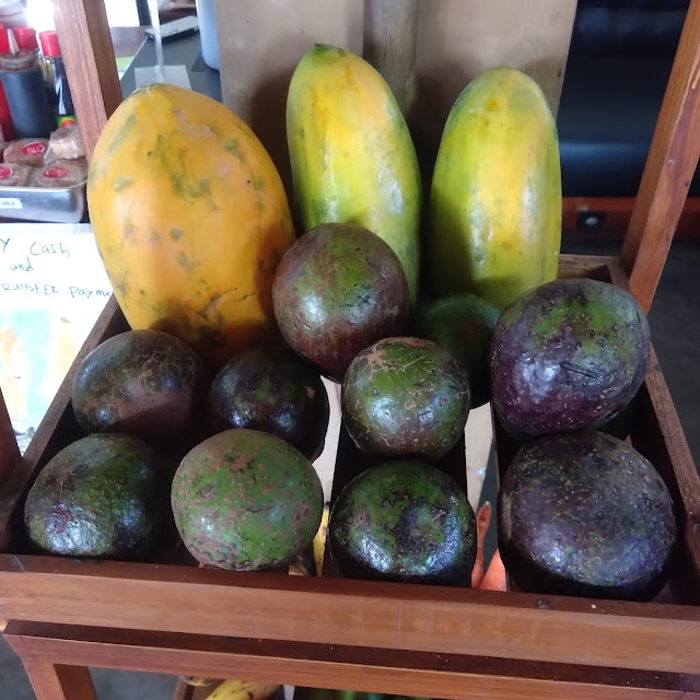Avocado