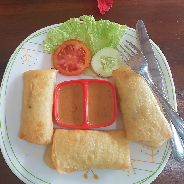 Spring Rolls