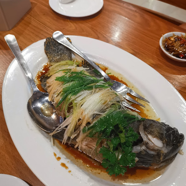 Ikan Kerapu Steam