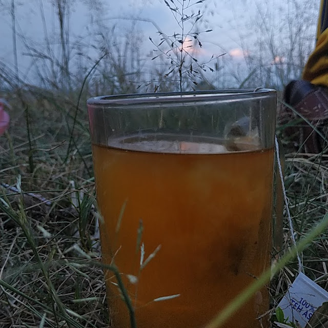 Minum Jeruk Sambil Sunset