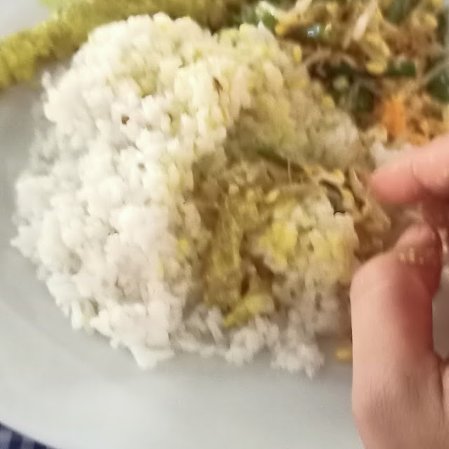 Nasi Lodho