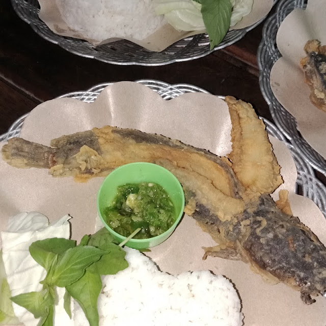 Lele Terbang Lombok Ijo