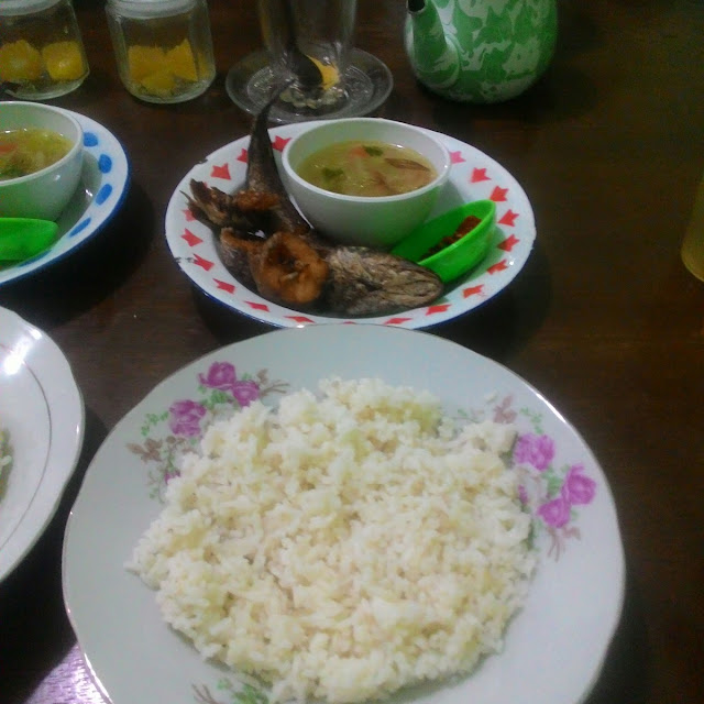 Ikan Gabus