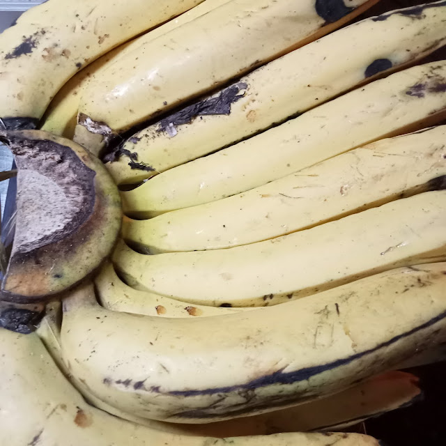 Pisang