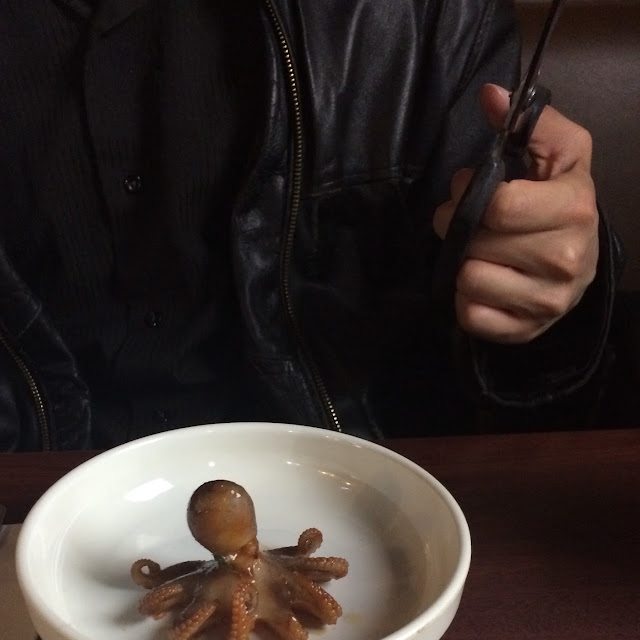 Fire Baby Octopus