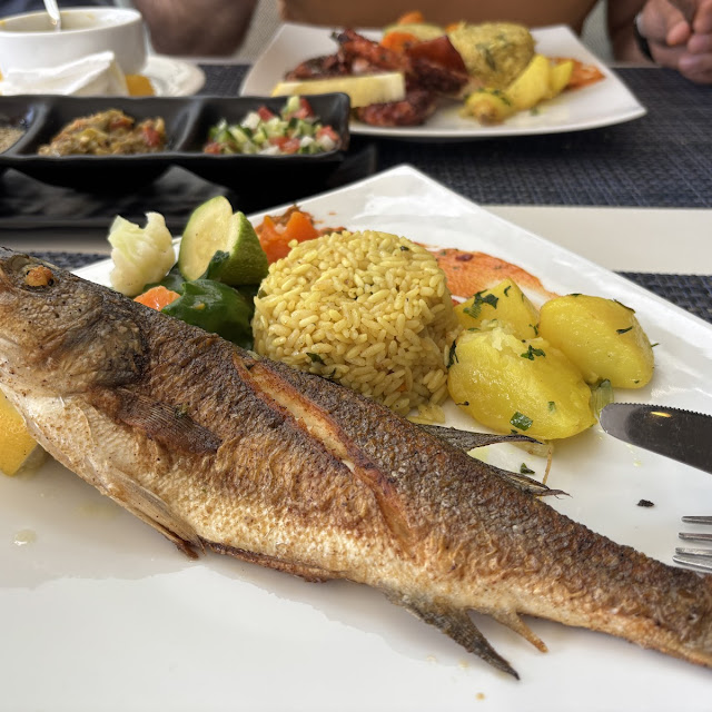 Grilled Fish