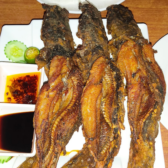 Grilled Hito