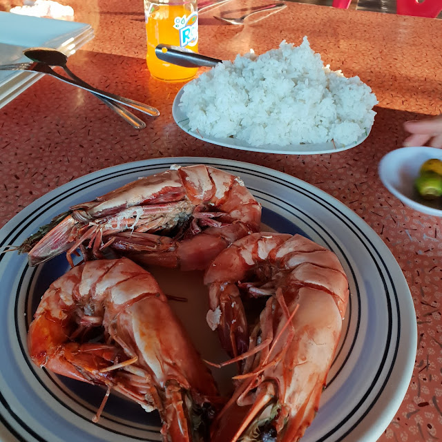 Really Big Prawn